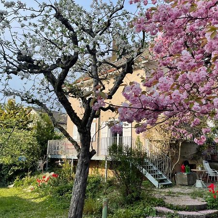 Bed and Breakfast Au Jardin Zuchwil Zewnętrze zdjęcie