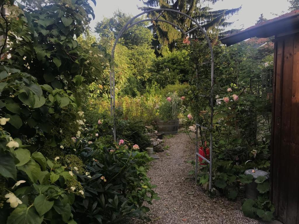 Bed and Breakfast Au Jardin Zuchwil Zewnętrze zdjęcie
