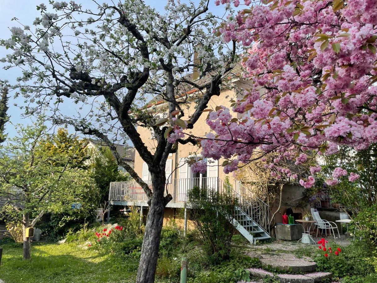 Bed and Breakfast Au Jardin Zuchwil Zewnętrze zdjęcie