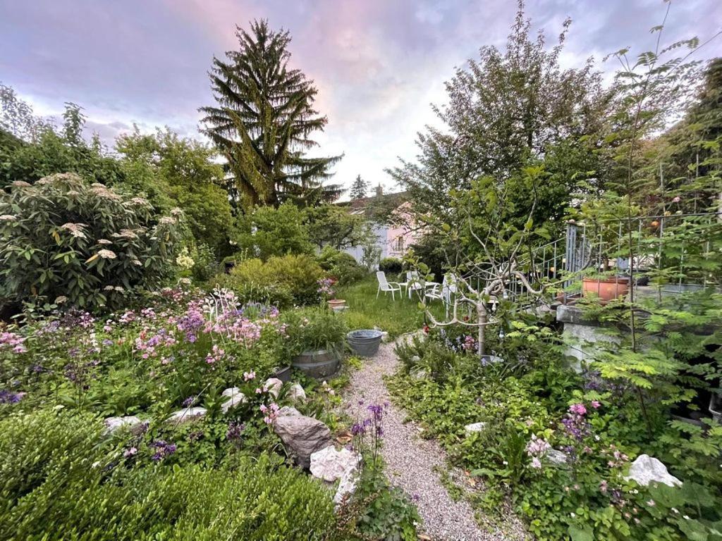 Bed and Breakfast Au Jardin Zuchwil Zewnętrze zdjęcie