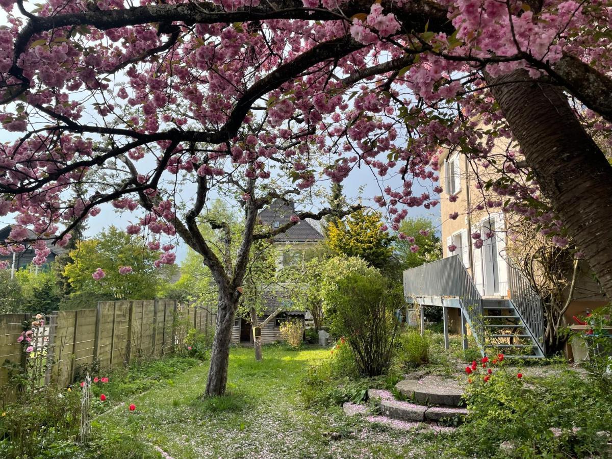 Bed and Breakfast Au Jardin Zuchwil Zewnętrze zdjęcie