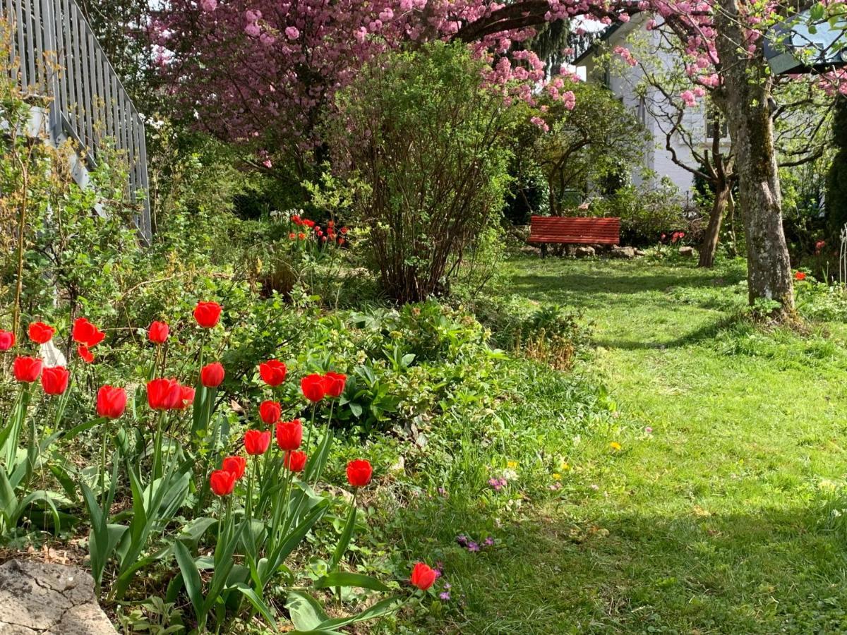 Bed and Breakfast Au Jardin Zuchwil Zewnętrze zdjęcie
