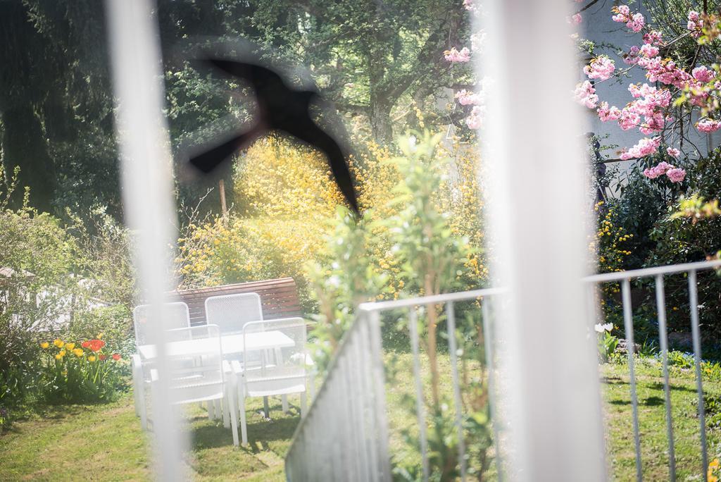 Bed and Breakfast Au Jardin Zuchwil Zewnętrze zdjęcie