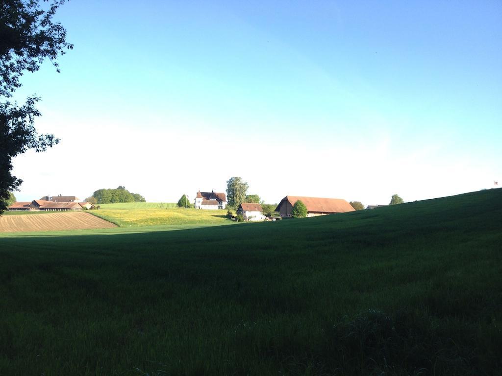Bed and Breakfast Au Jardin Zuchwil Zewnętrze zdjęcie