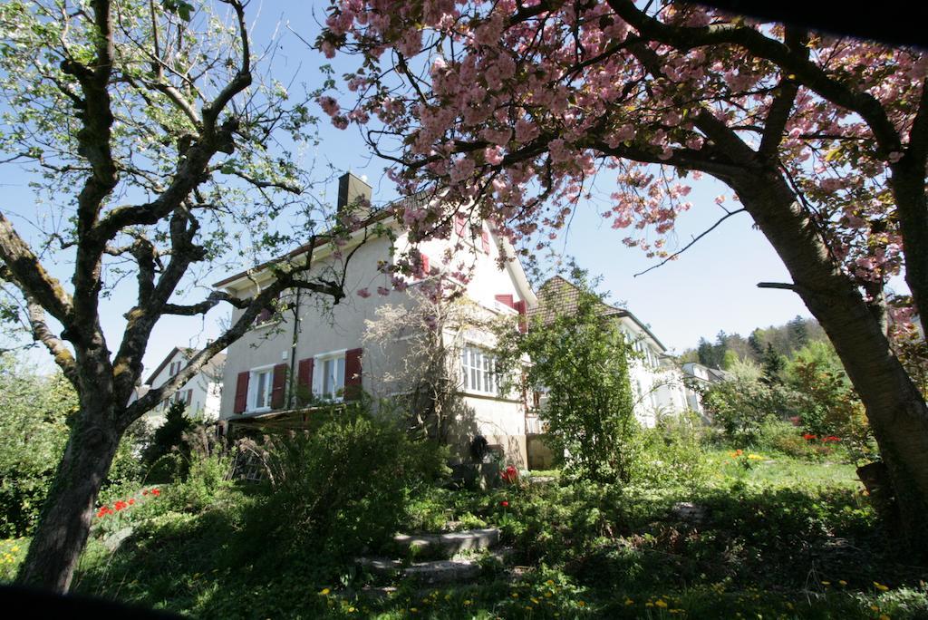 Bed and Breakfast Au Jardin Zuchwil Zewnętrze zdjęcie
